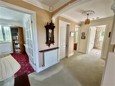 Picture 5
